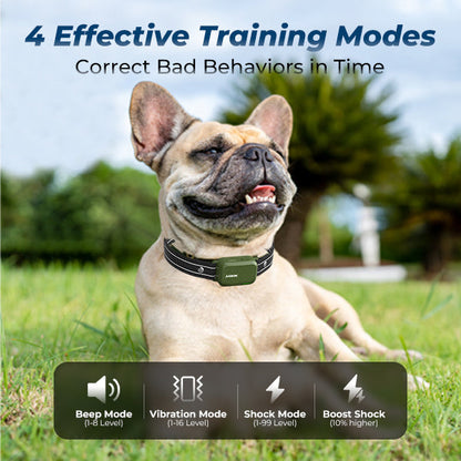 TACTIX 2 | Remote Training Collar – 4200FT Range